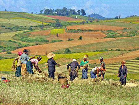 OFF-THE-BEATEN TRACK